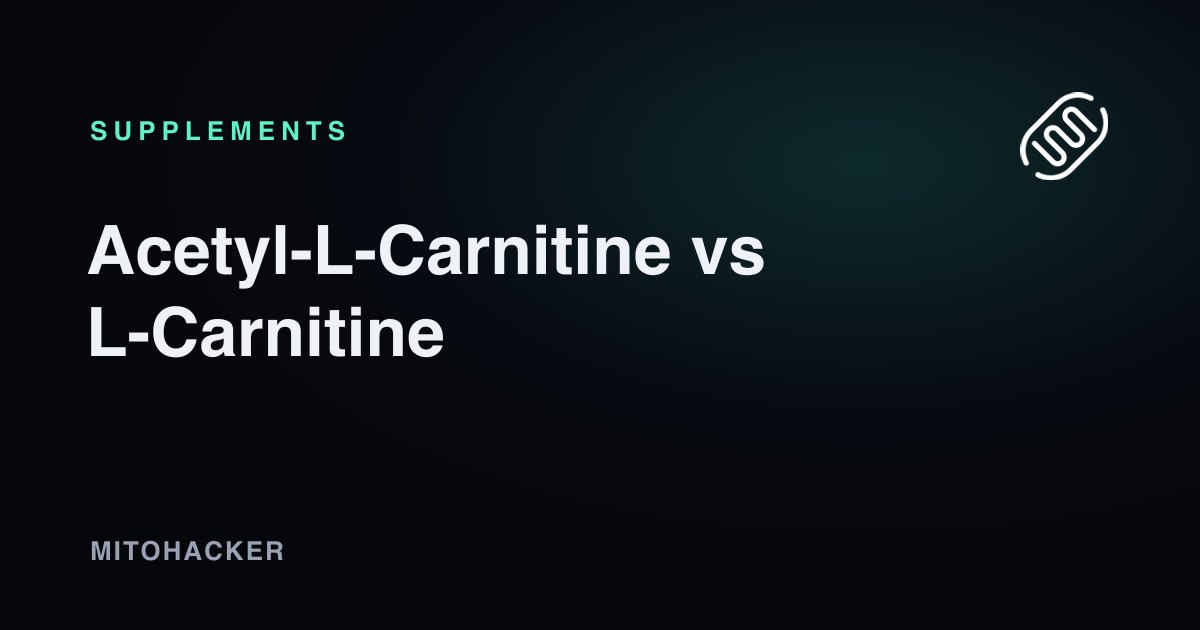 Acetyl-L-carnitine and L-carnitine supplement comparison