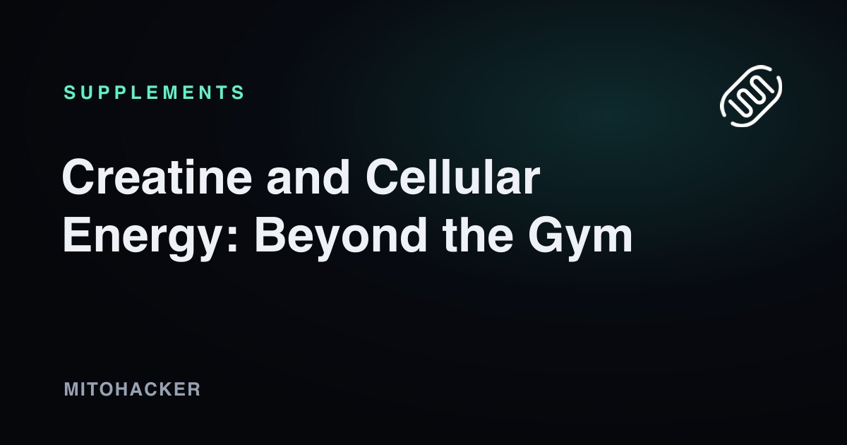 Creatine supplement for cellular energy beyond the gym