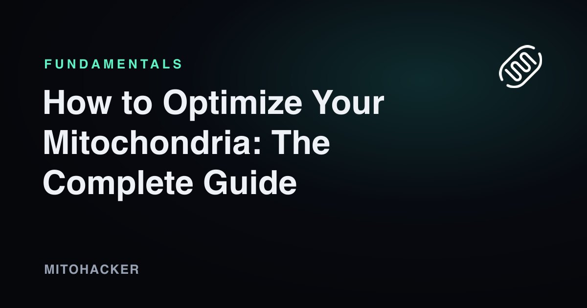 Guide to optimizing mitochondrial health and cellular energy