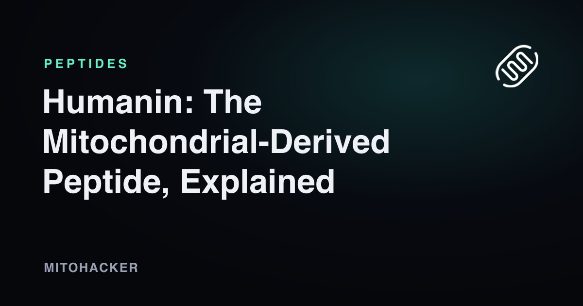 Humanin mitochondrial-derived peptide illustration