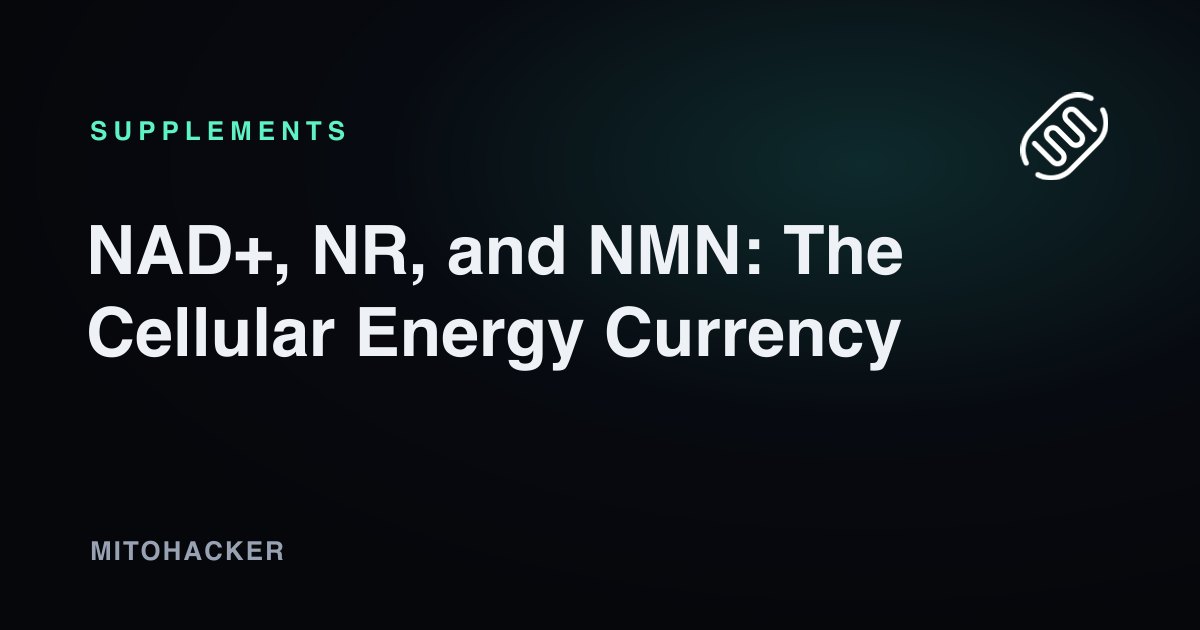 NAD+ precursors NR and NMN for cellular energy