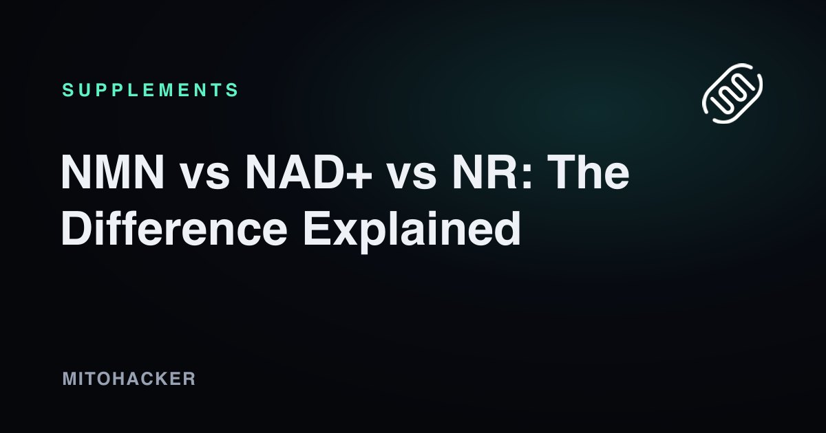 NMN, NAD+, and NR molecular comparison for cellular energy
