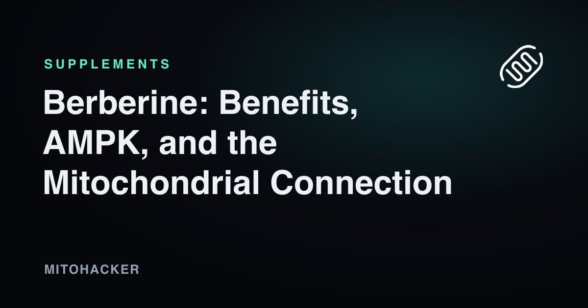 Berberine: Benefits, AMPK, and the Mitochondrial Connection