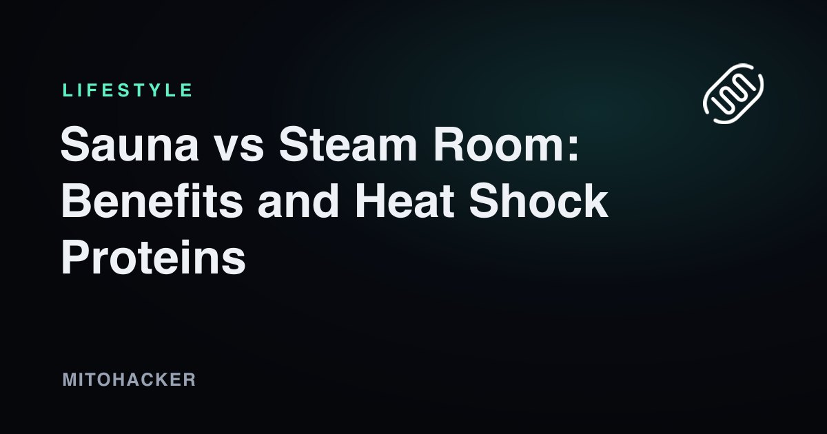 Sauna vs Steam Room: Which One Actually Helps
