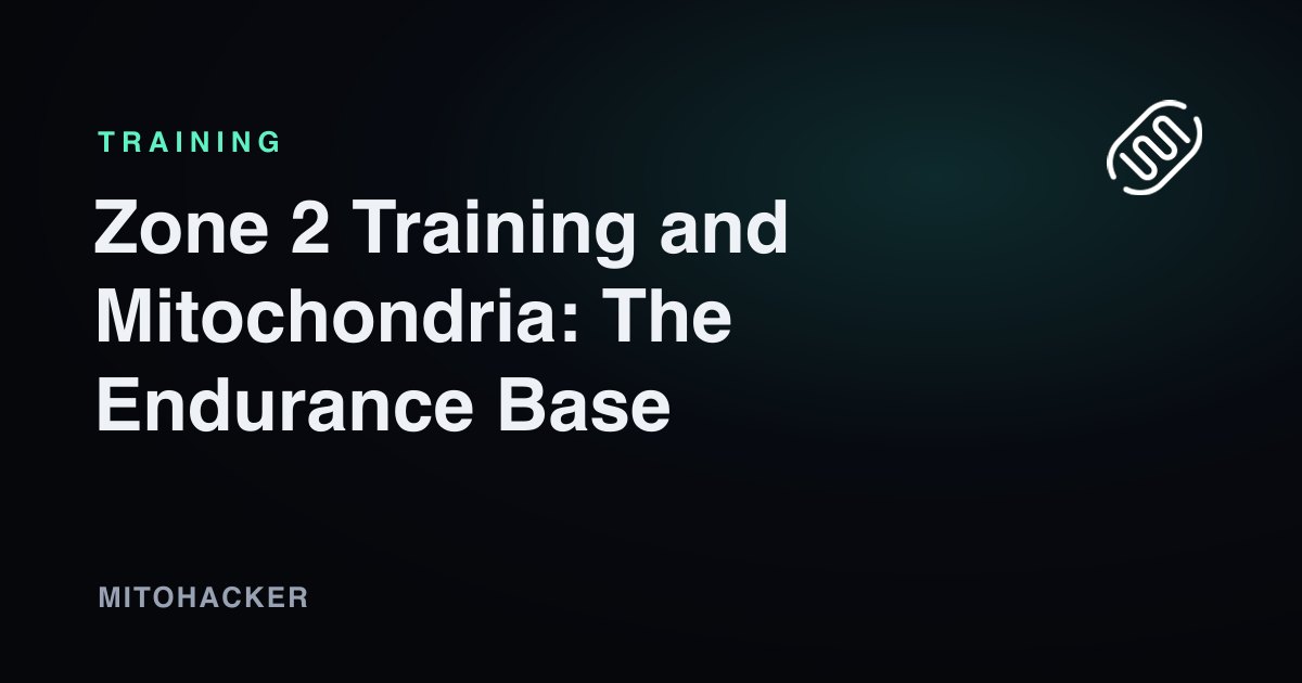 Zone 2 training heart rate zones for mitochondrial endurance
