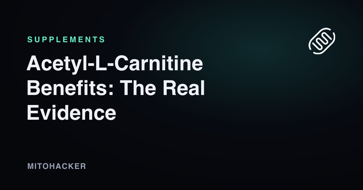 Acetyl-L-Carnitine Benefits: The Real Evidence