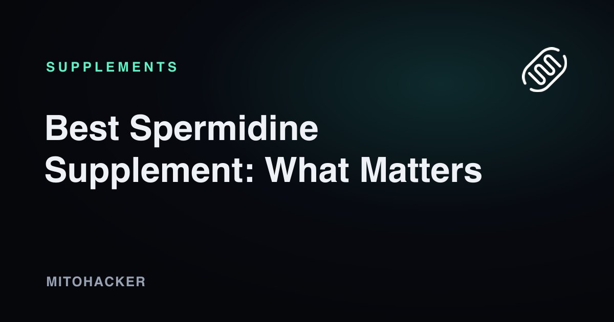 Best Spermidine Supplement: What Matters
