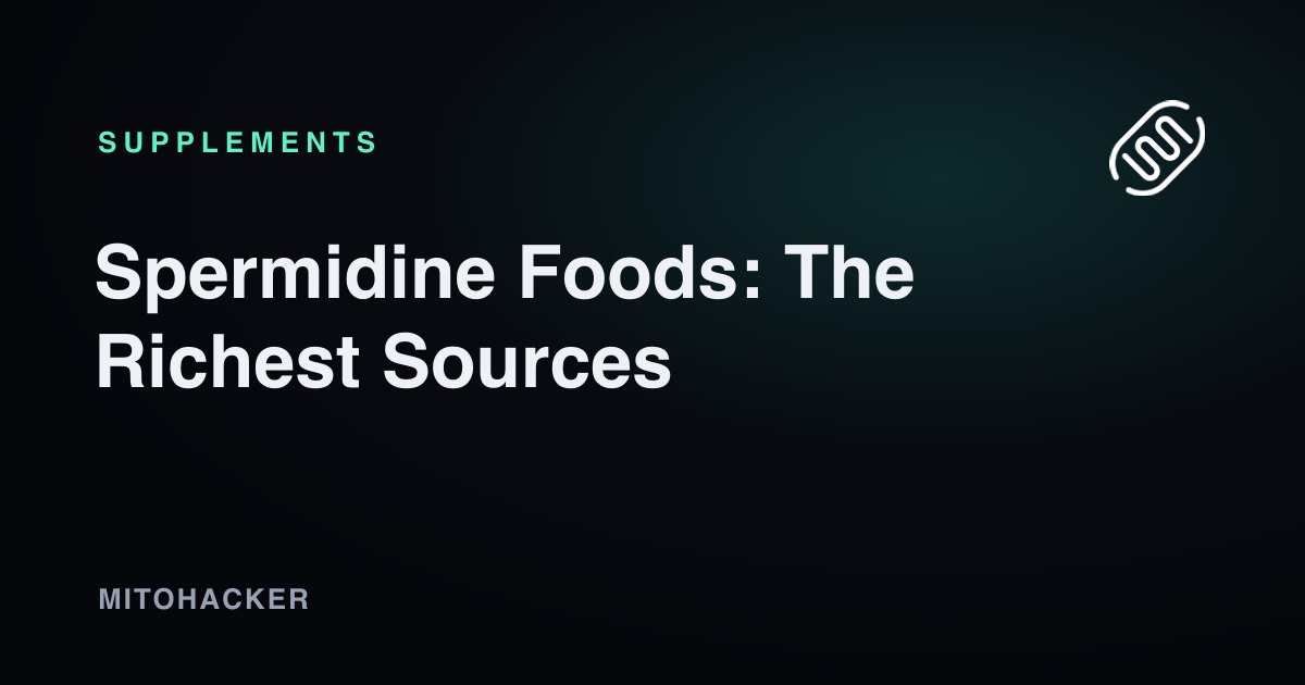 Spermidine Foods: The Richest Sources