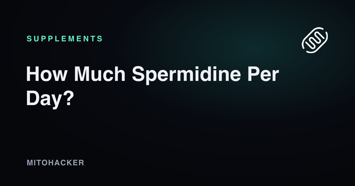 How Much Spermidine Per Day?