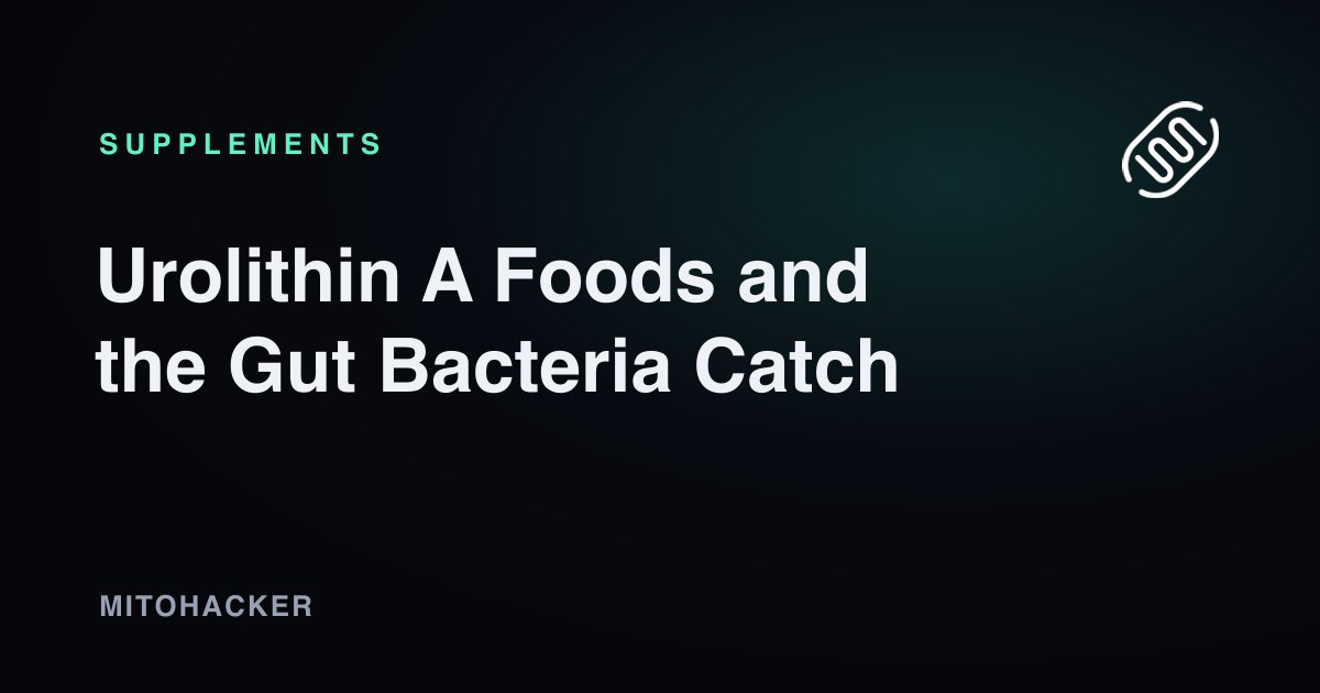Urolithin A Foods and the Gut Bacteria Catch